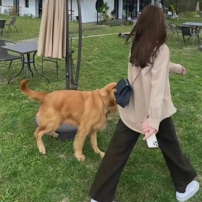最美中轴线第三季